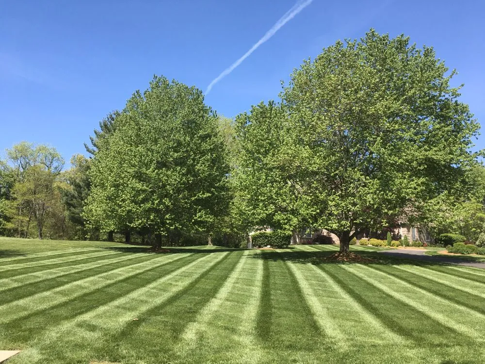 Custom lawn mowing service in St Charles, MO by Larson Lawn Care