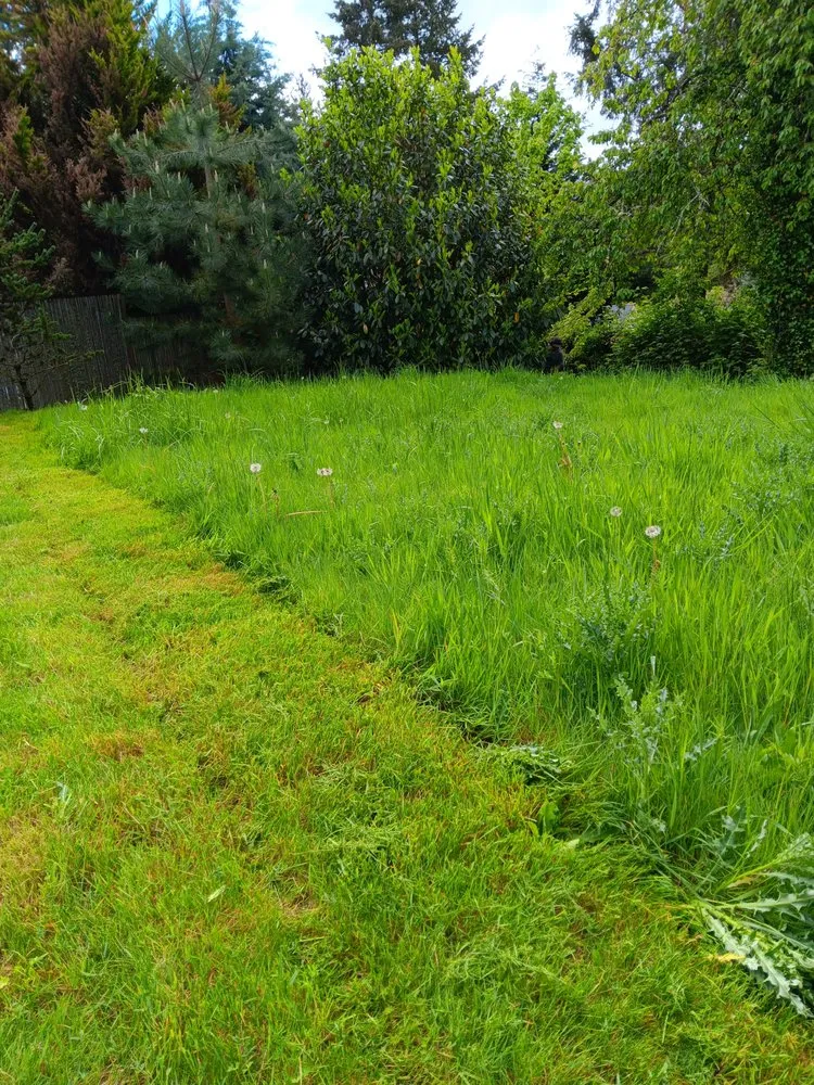 Trusted residential landscaping experts serving Gresham, OR - Larson Lawns