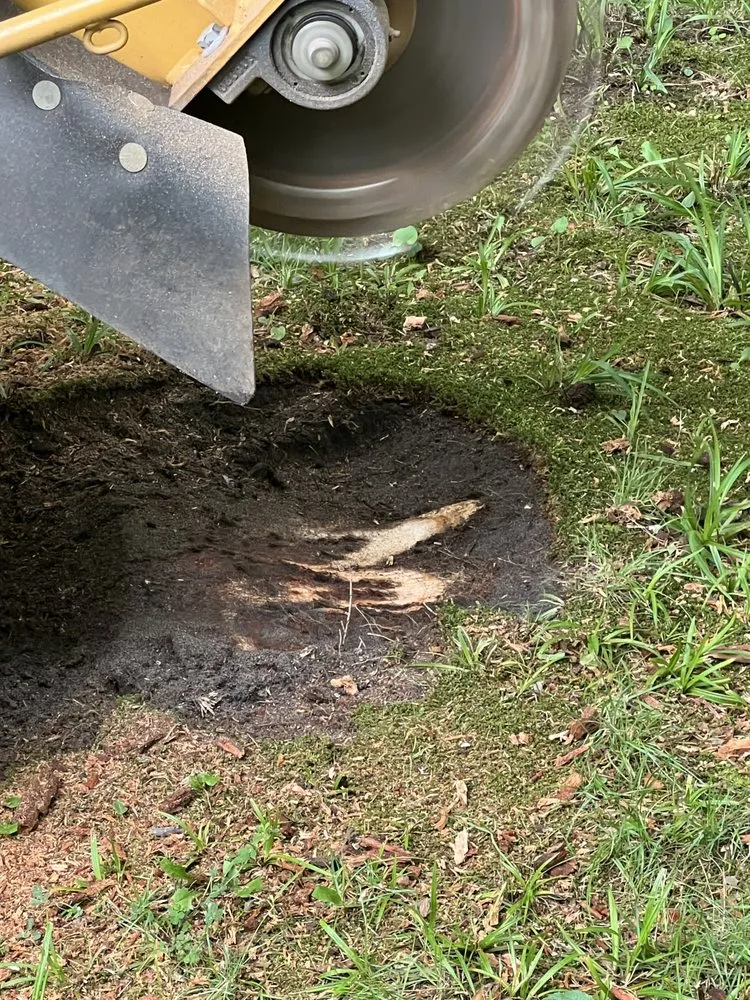 Local landscaping services experts serving Montague, MI - Larson services