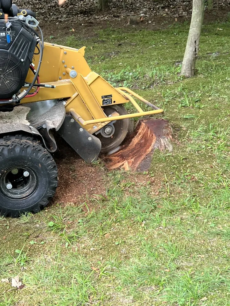 Local landscape installation near you across Montague, MI - Larson services