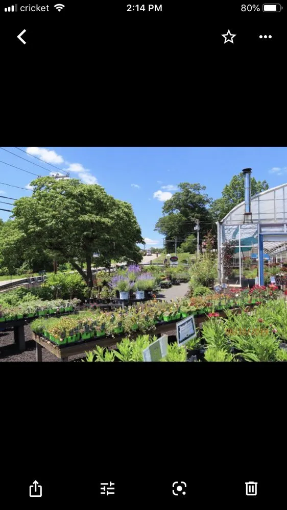 Professional lawn mowing service for homes in Burlington, CT by Larson's Garden Center