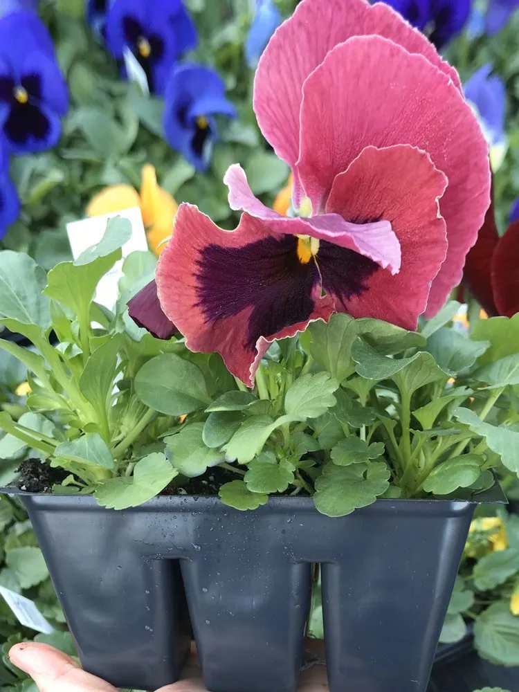 Trusted landscape design with custom design in Burlington, CT by Larson's Garden Center