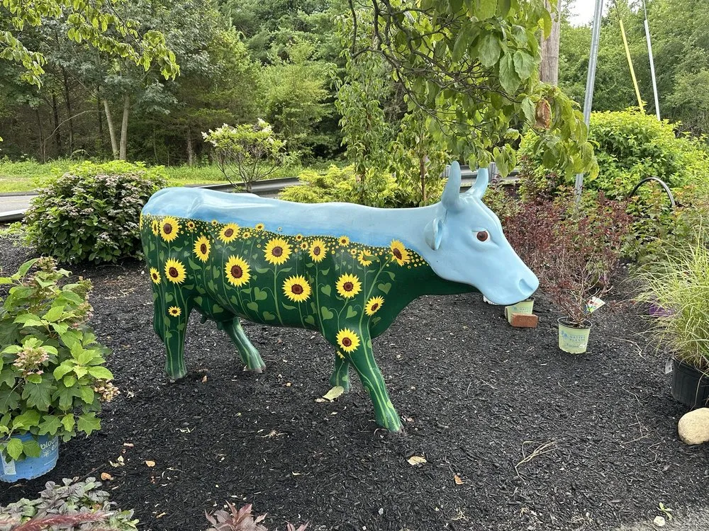 Reliable yard cleanup service in Burlington, CT by Larson's Garden Center