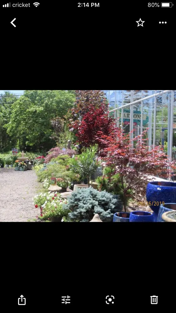 Reliable yard cleanup service for beautiful yards across Burlington, CT - Larson's Garden Center