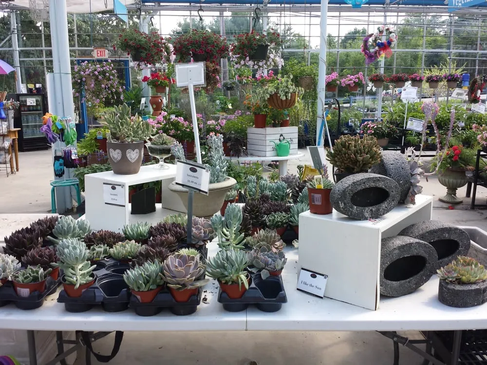 Professional landscape installation in Burlington, CT by Larson's Garden Center