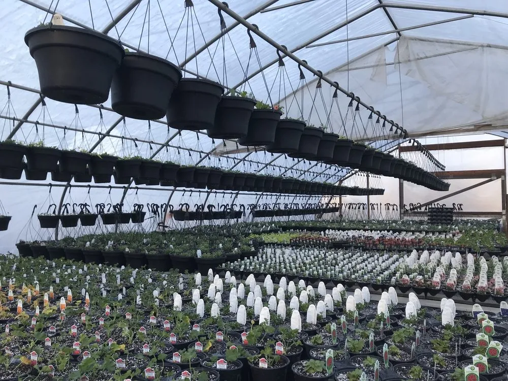 Affordable residential landscaping in Burlington, CT - Larson's Garden Center