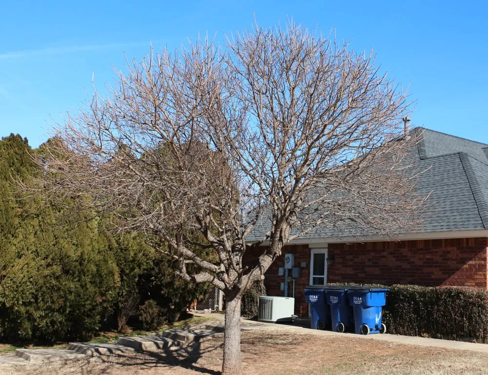 Professional residential landscaping near you across Mustang, OK - Larson's Lawn & Landscape