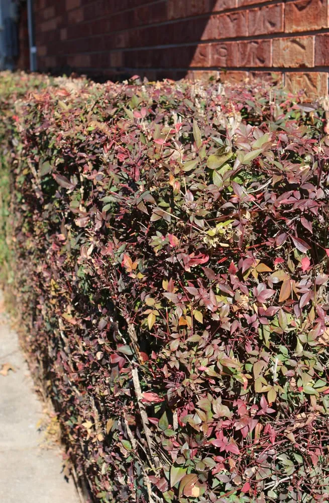 Local yard maintenance for homes across Mustang, OK - Larson's Lawn & Landscape