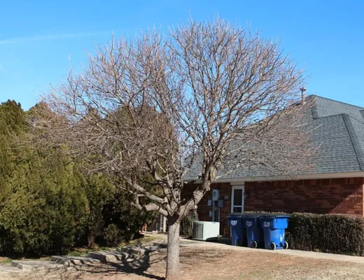 Larson's Lawn & Landscape