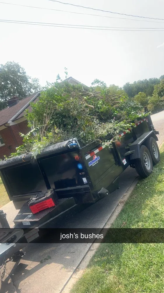 Top-rated yard cleanup service experts serving Lincolnton, NC - Larsons Lawn Care and Junk Removal