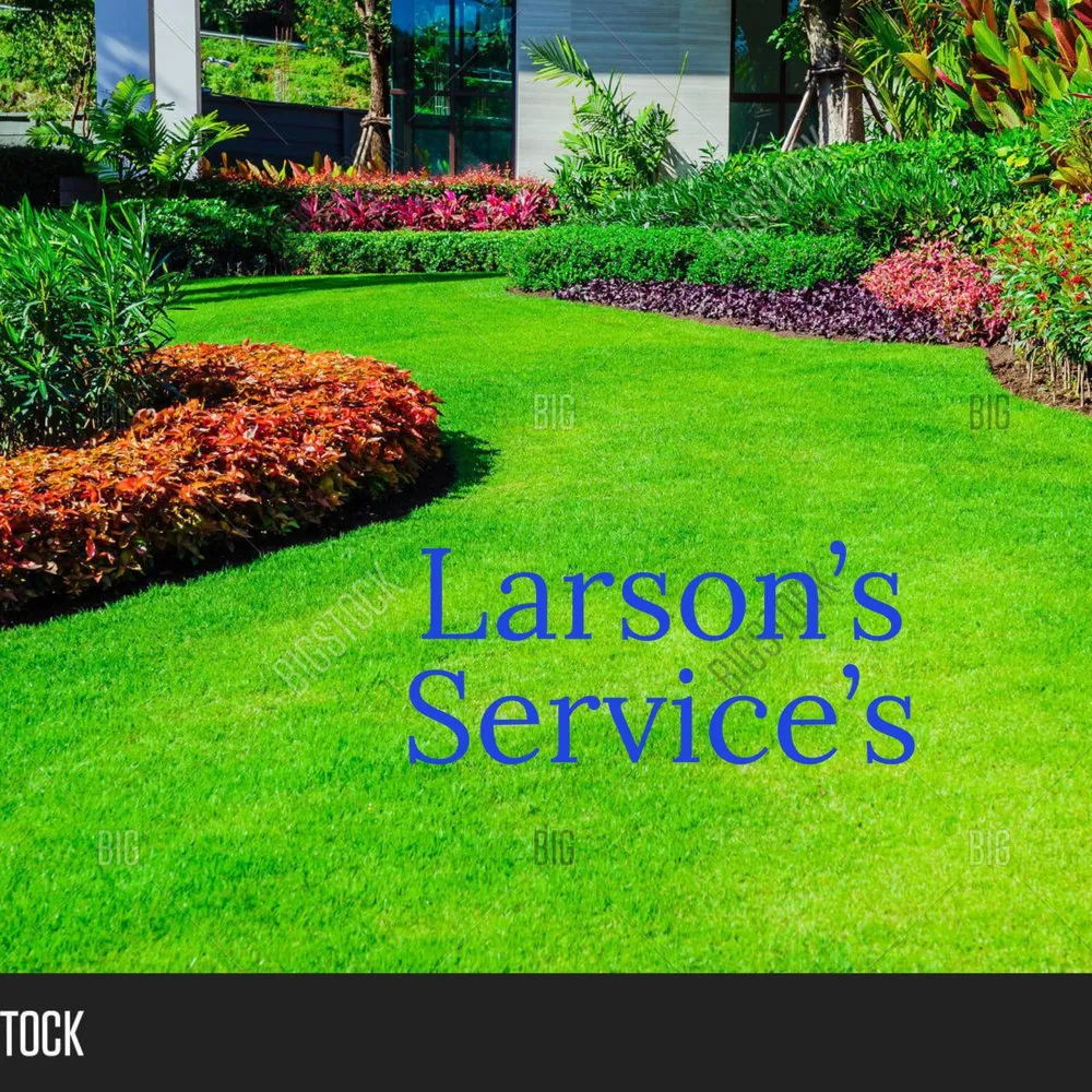 Custom yard cleanup service in Sanford, NC - Larsons Service’s