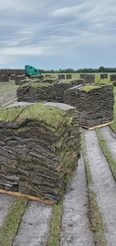 Expert garden landscaping with custom design in Cocoa, FL by Lary & Brothers Landscaping