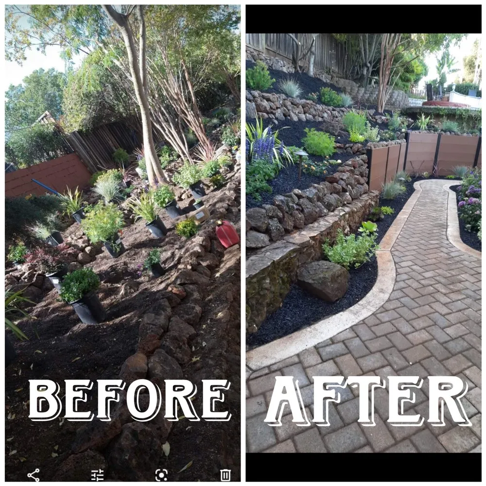 Custom yard maintenance experts serving Stockton, CA - Las Aguilas Lawncare