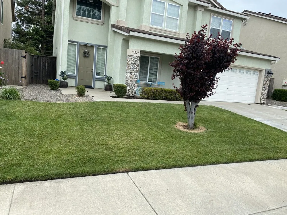 Affordable garden landscaping in Stockton, CA by Las Aguilas Lawncare