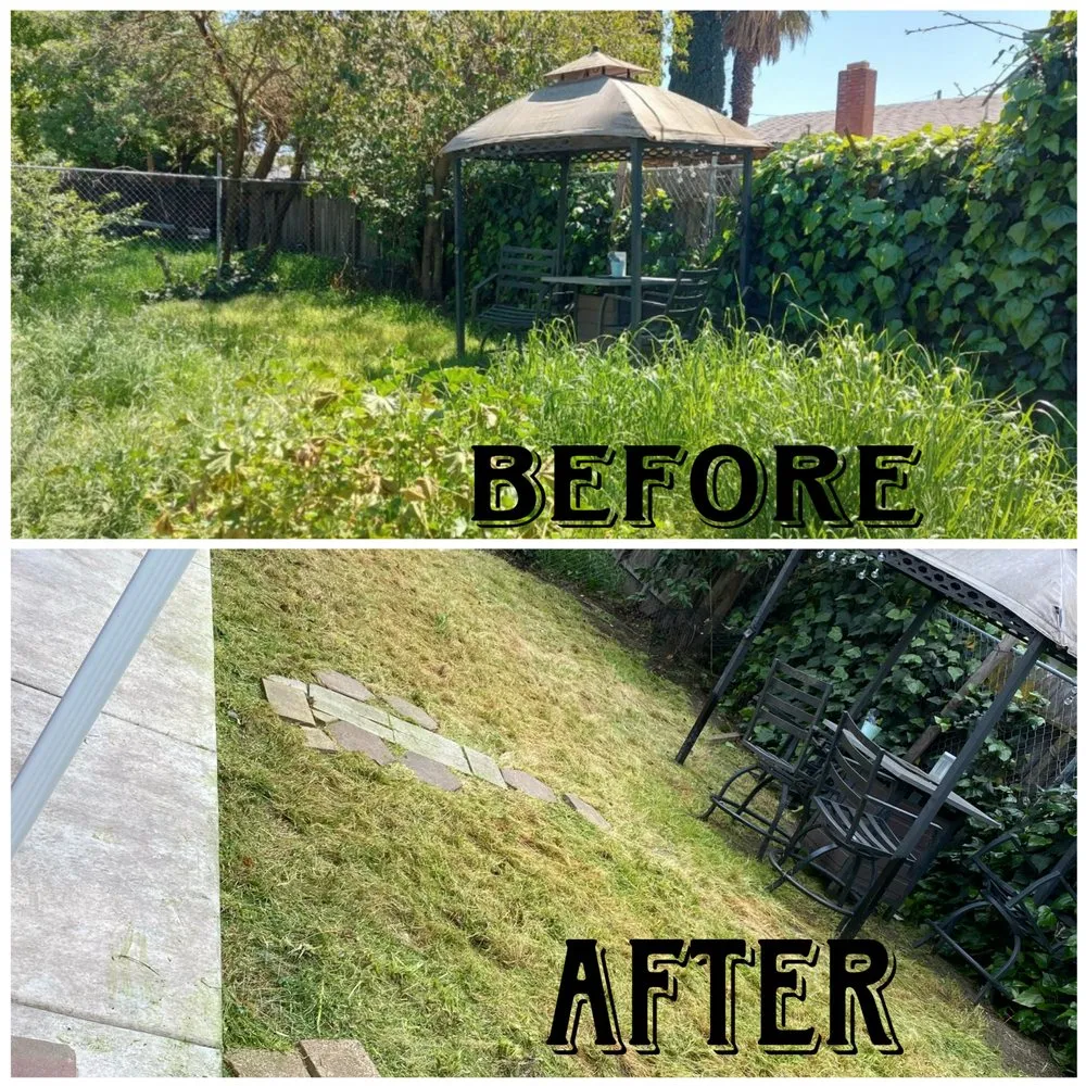 Local landscaping services in Stockton, CA by Las Aguilas Lawncare