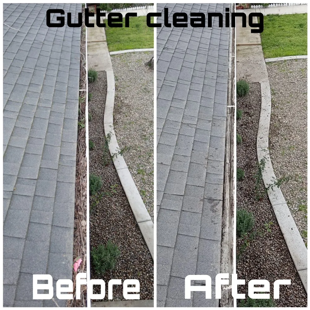 Expert yard cleanup service for beautiful yards in Stockton, CA by Las Aguilas Lawncare