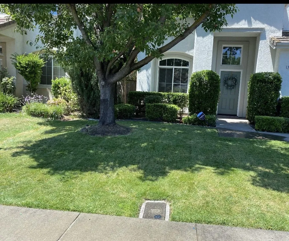 Affordable garden landscaping in Stockton, CA - Las Aguilas Lawncare