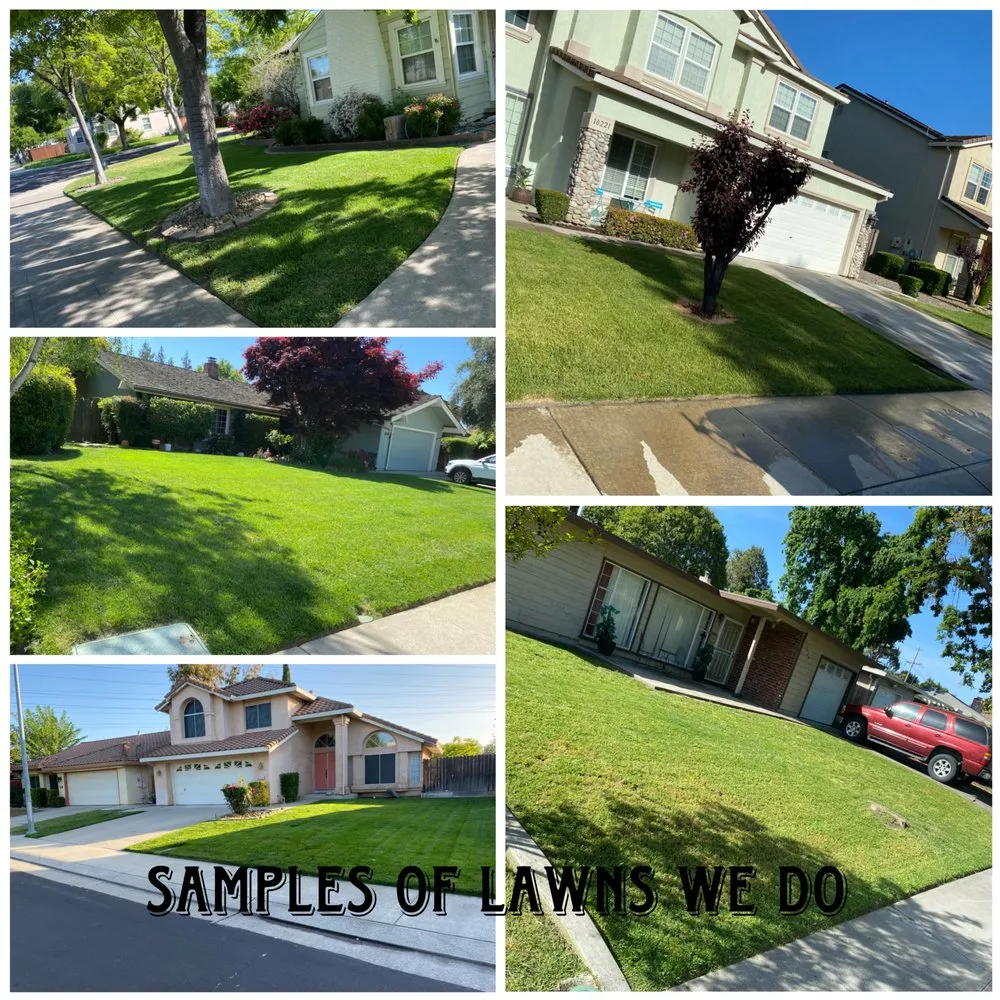 Trusted garden landscaping near you across Stockton, CA - Las Aguilas Lawncare