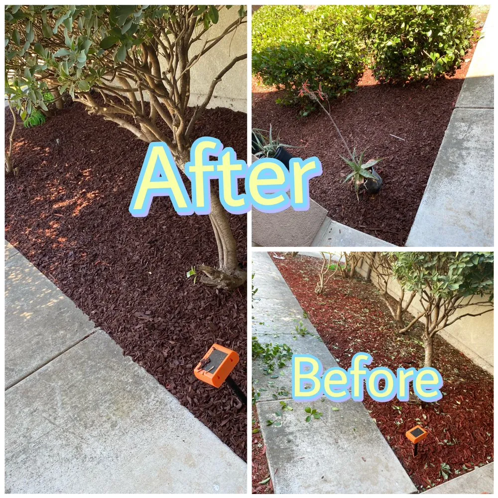 Top-rated landscape installation in Stockton, CA by Las Aguilas Lawncare