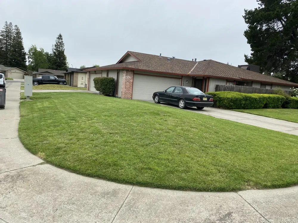 Expert yard cleanup service for residential properties across Stockton, CA - Las Aguilas Lawncare