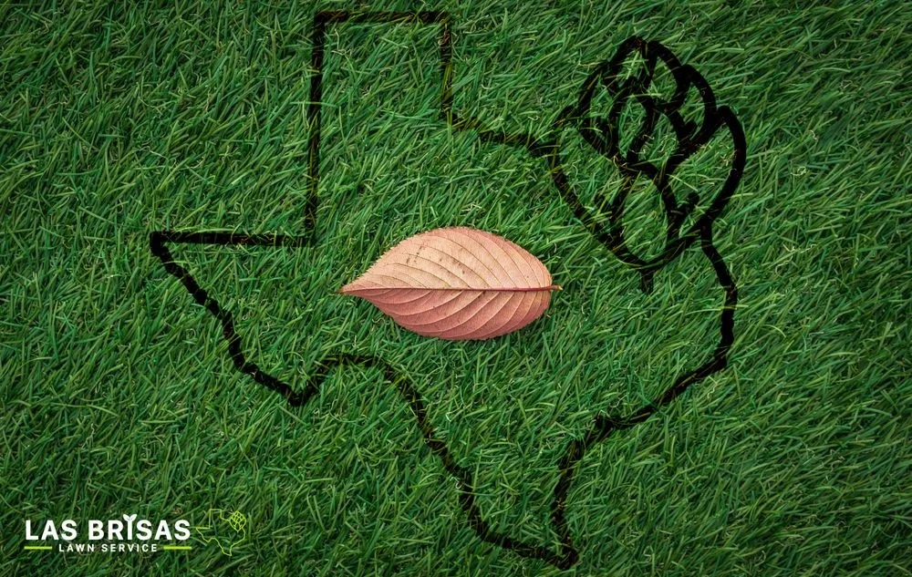 Custom garden landscaping experts serving Heartland, TX - Las Brisas Lawn Service