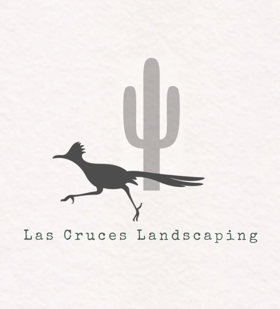 Top-rated yard cleanup service in Las Cruces, NM by Las Cruces Landscaping