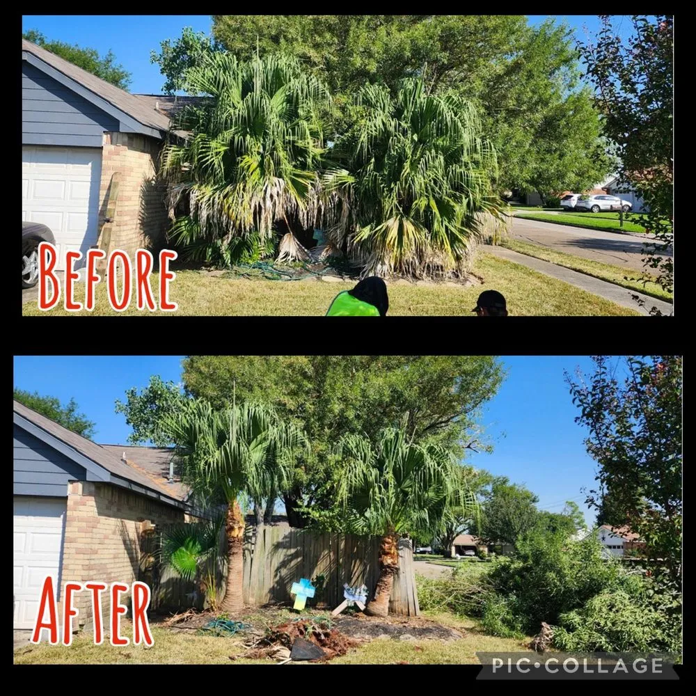 Affordable outdoor landscaping for beautiful yards across La Porte, TX - LAS Family Business