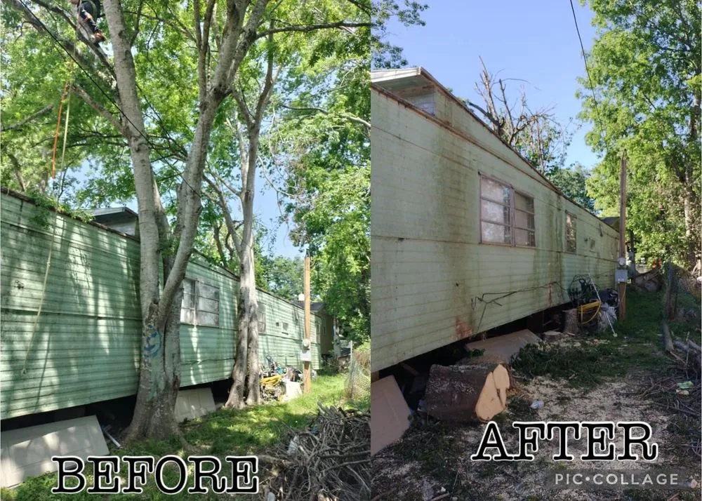 Local landscaping services for year-round maintenance across La Porte, TX - LAS Family Business