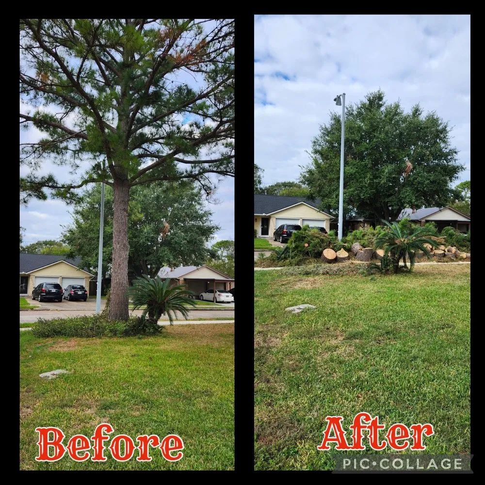 Trusted lawn mowing service for residential properties in La Porte, TX by LAS Family Business