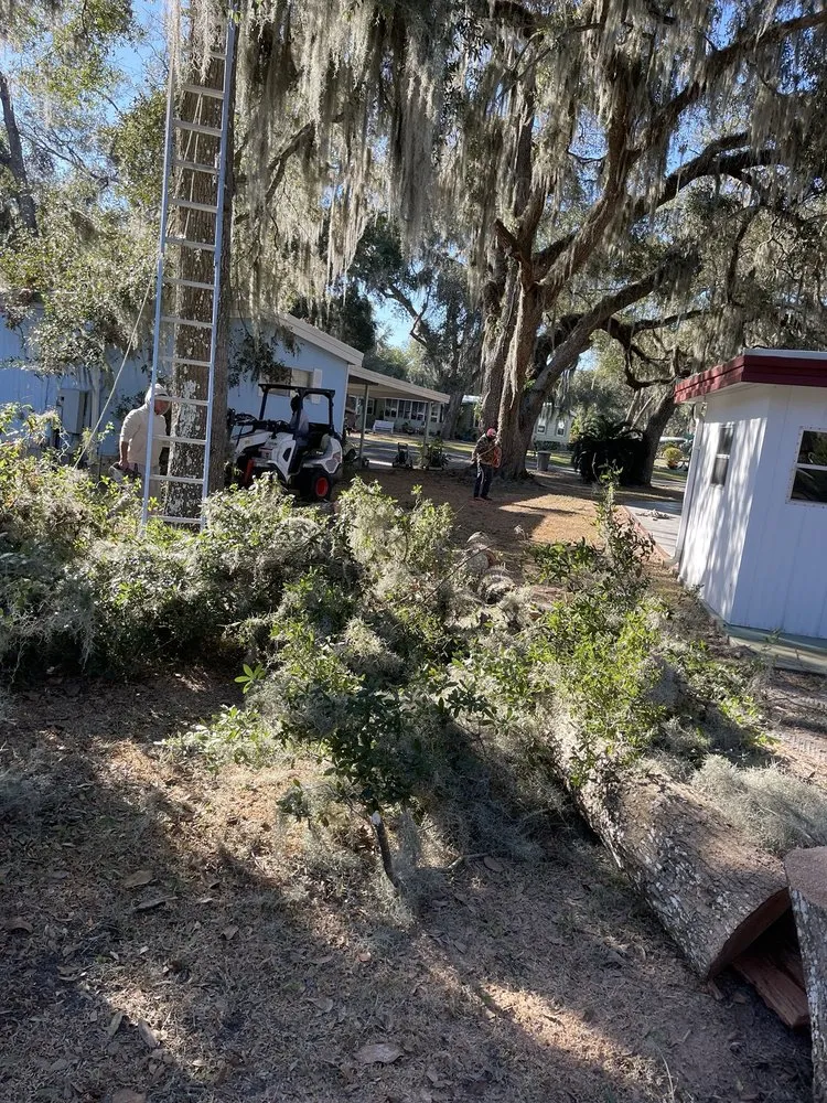 Top-rated yard maintenance in Leesburg, FL - LAS Landscaping Services