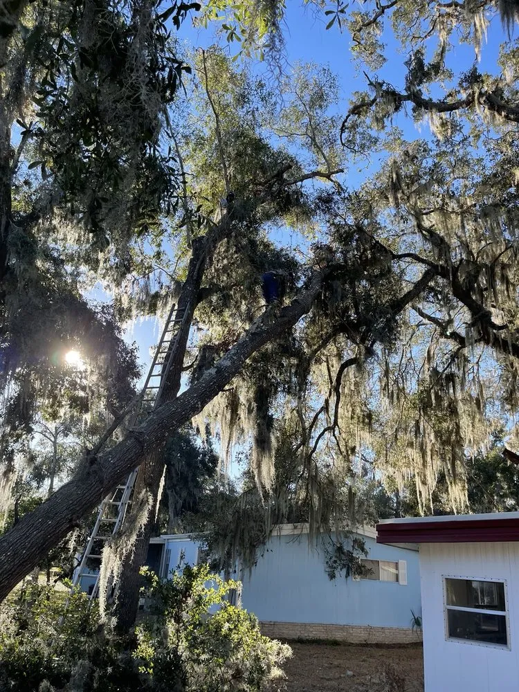 Expert garden landscaping experts serving Leesburg, FL - LAS Landscaping Services