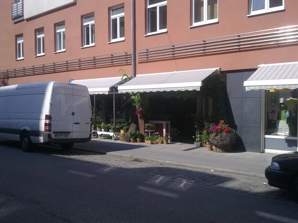 Expert landscape installation in Leesburg, FL by LAS Landscaping Services