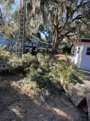 LAS Landscaping Services