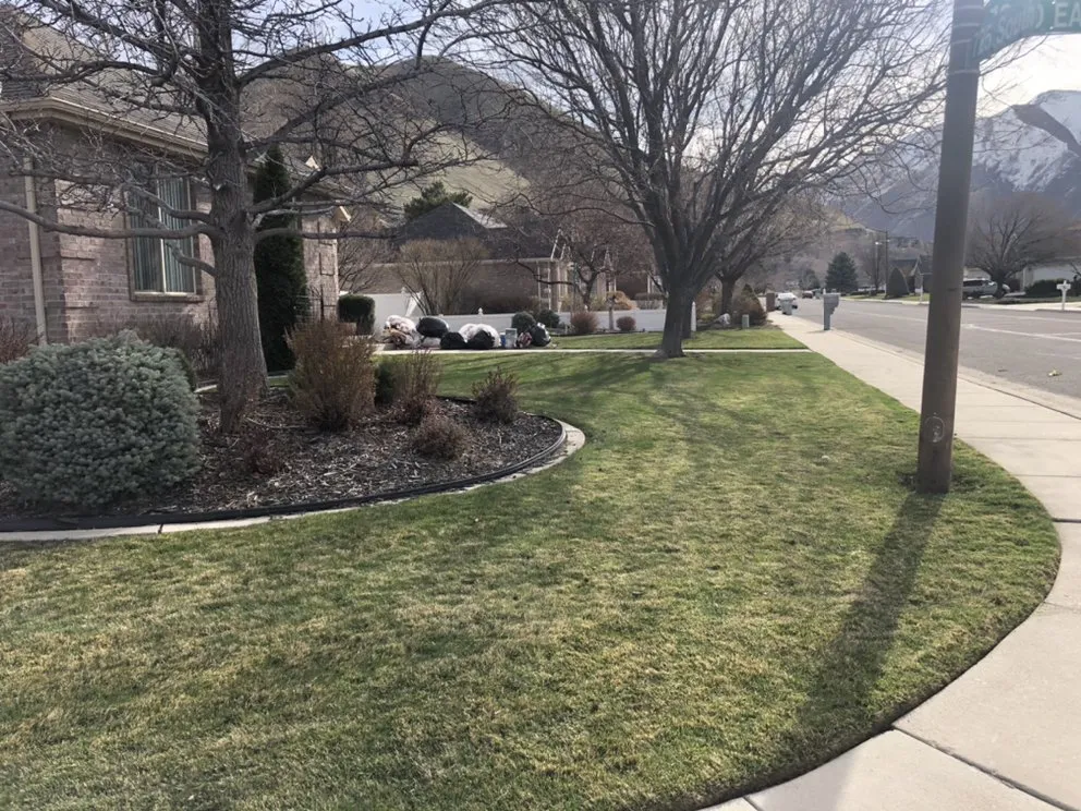 Expert landscape installation for year-round maintenance in Springville, UT by L.A.S Lawn Care