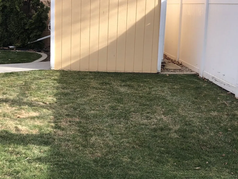 Expert lawn mowing service experts serving Springville, UT - L.A.S Lawn Care