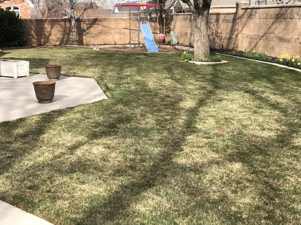 Professional yard cleanup service in Springville, UT by L.A.S Lawn Care
