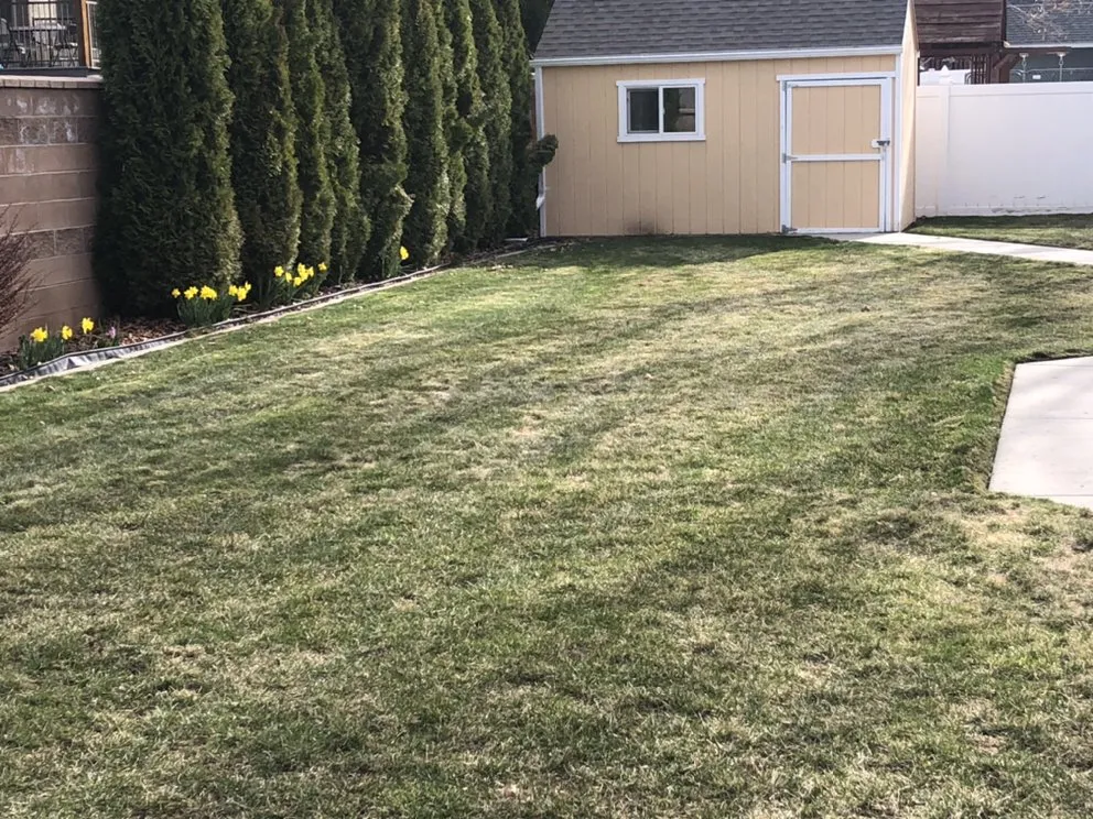 Expert landscaping services with custom design across Springville, UT - L.A.S Lawn Care