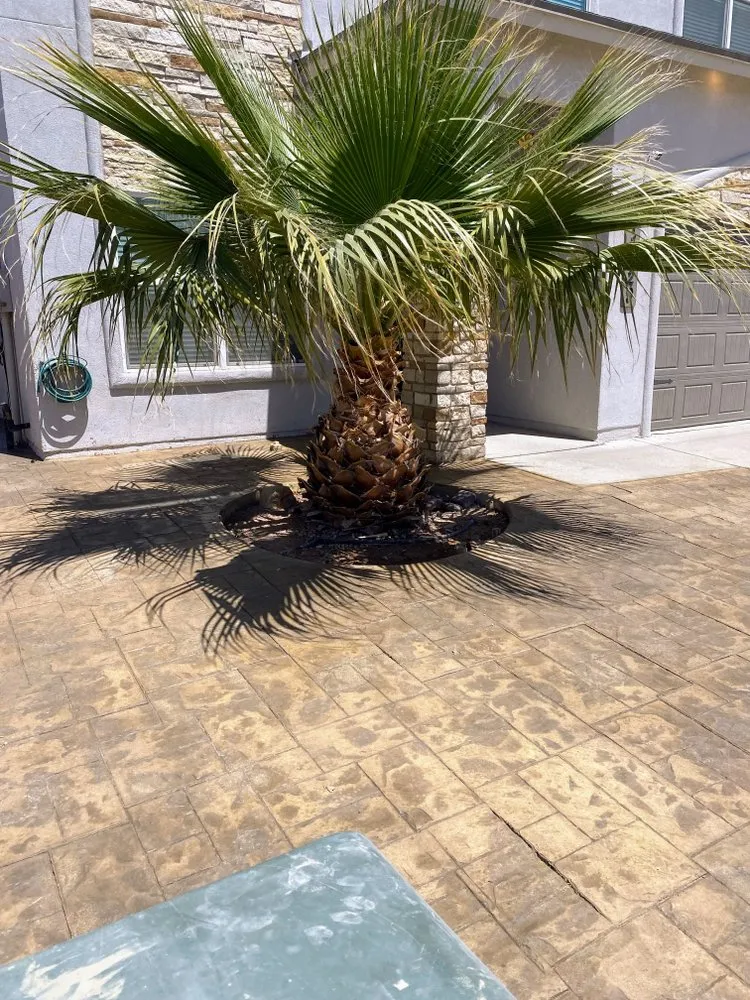 Affordable yard maintenance near you in El Paso, TX by Las Liebres Concrete & Landscaping