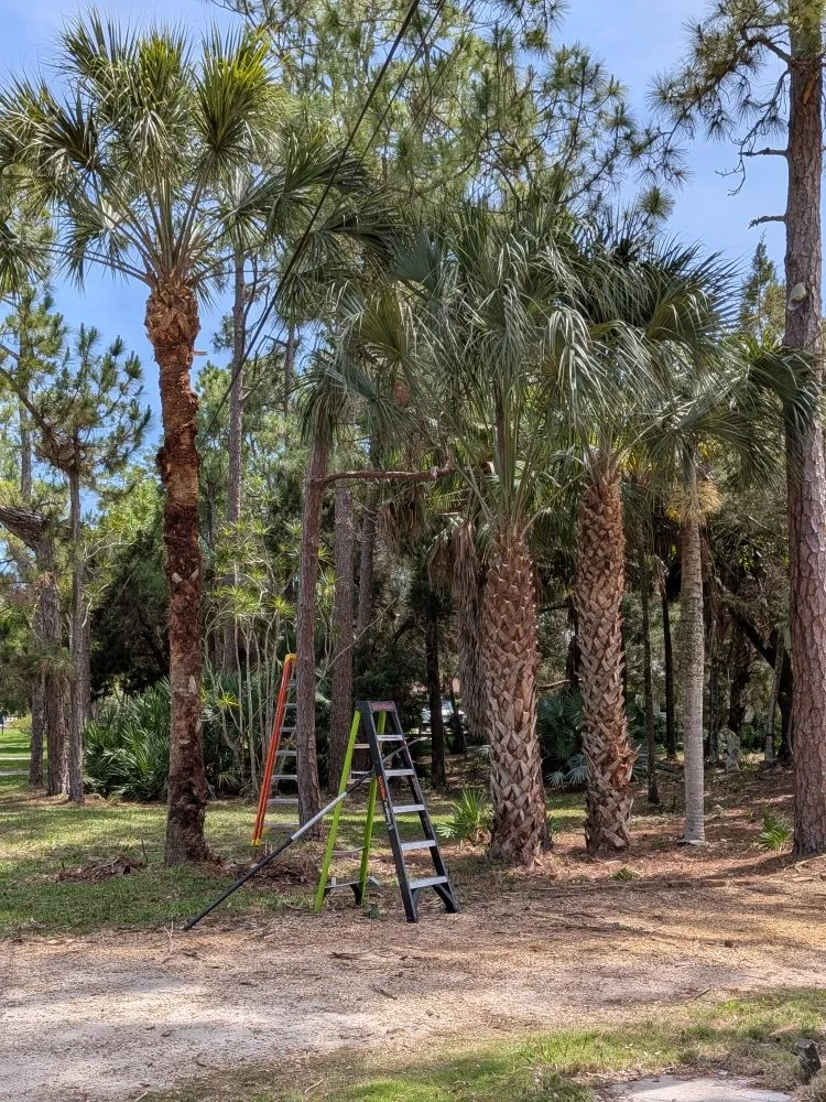 Custom outdoor landscaping experts serving Margate, FL - Las Olas Lawn Service