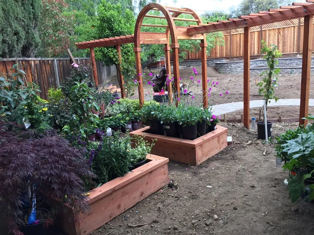 Local lawn care service in Los Altos, CA - Las Palmas Design