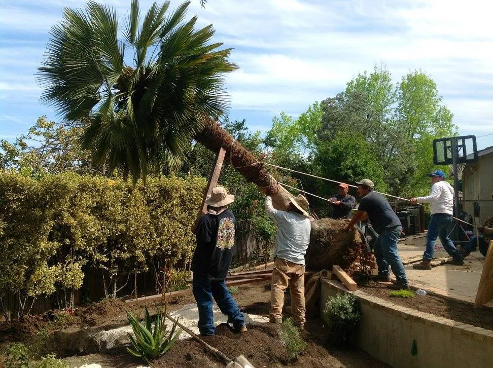 Top-rated garden landscaping in Los Altos, CA - Las Palmas Design