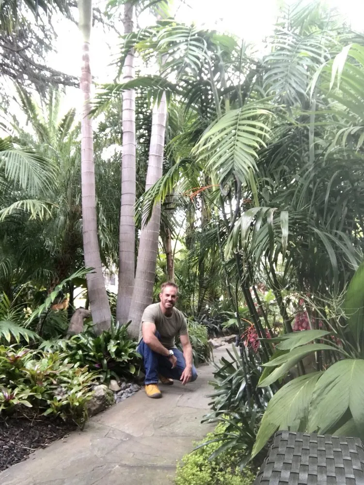 Professional yard maintenance in Los Altos, CA - Las Palmas Design