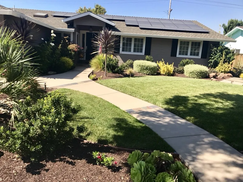 Professional lawn care service in Los Altos, CA - Las Palmas Design