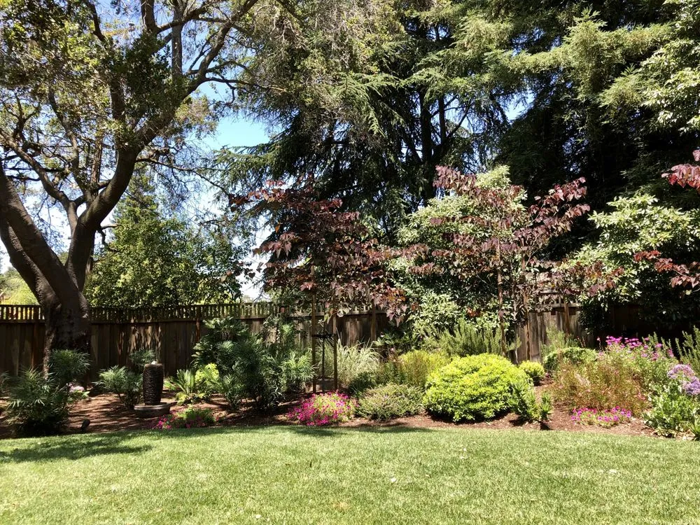 Affordable residential landscaping for residential properties across Los Altos, CA - Las Palmas Design