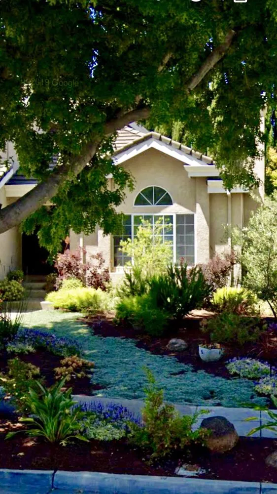 Professional landscape installation in Los Altos, CA - Las Palmas Design
