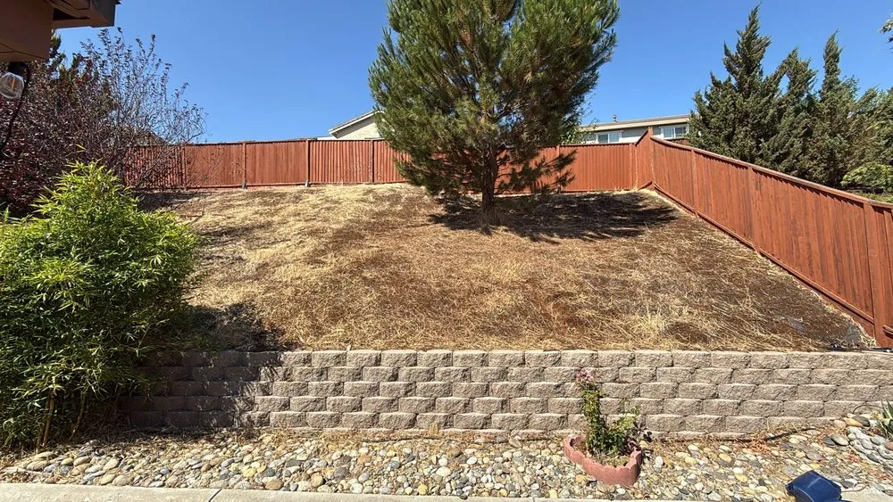 Custom landscaping services in Oakley, CA - Las Palmas Gardening