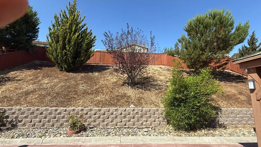 Local outdoor landscaping in Oakley, CA by Las Palmas Gardening