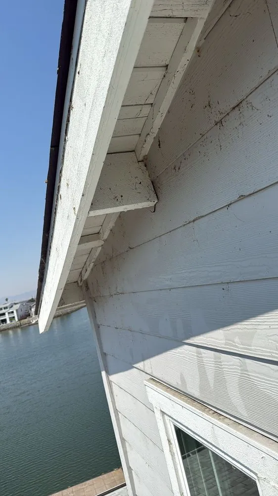 Professional outdoor landscaping experts serving Oakley, CA - Las Palmas Gardening