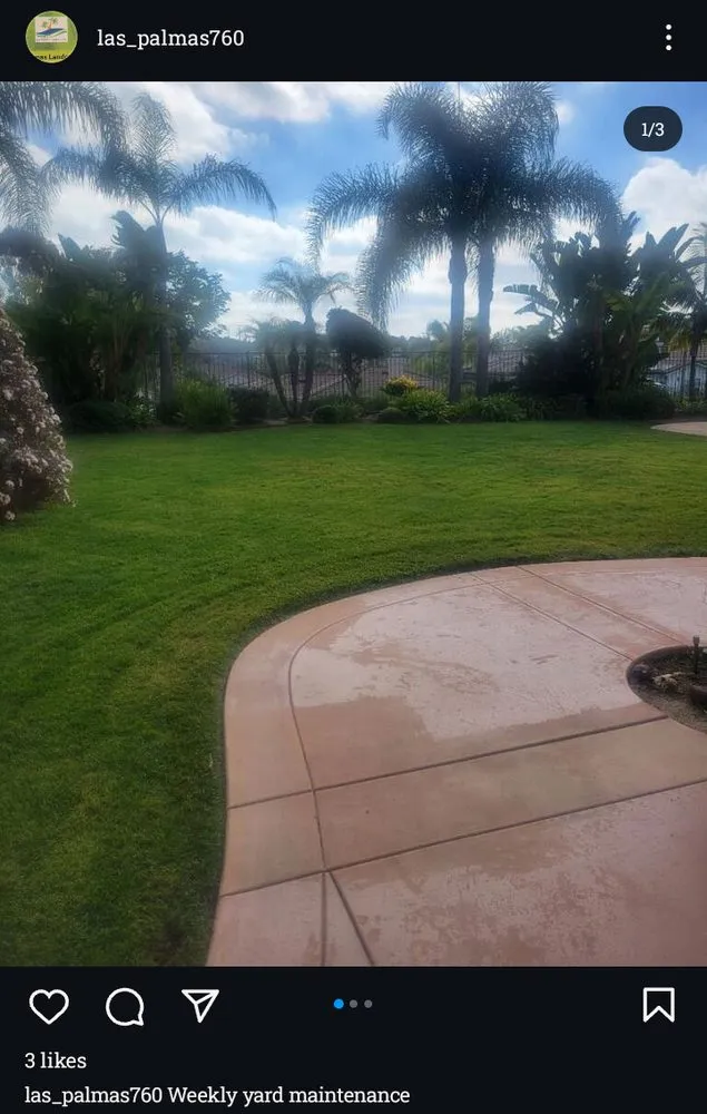 Professional outdoor landscaping for beautiful yards in San Marcos, CA by Las Palmas Landcare