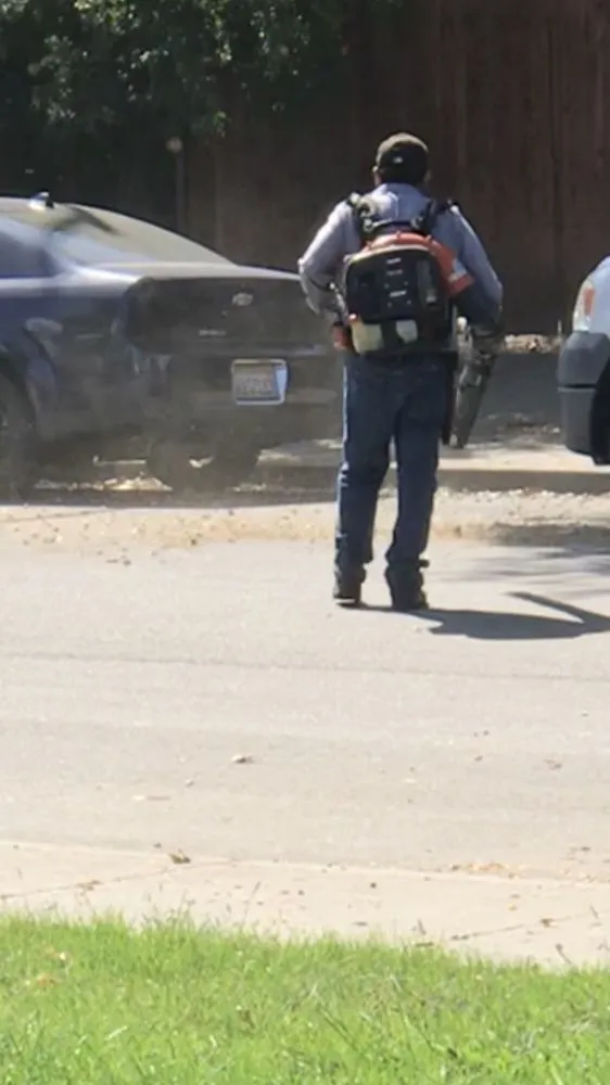 Local yard cleanup service near you in Modesto, CA by Las Palmas Landscape & Maintenance